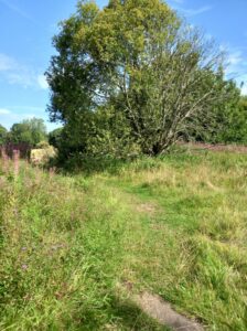 finding-your-way-to-broomhill