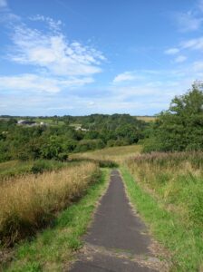 how to find broomhill