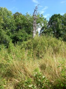 how to find the broomhill house ghost